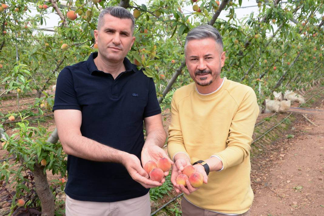 Kilosu 300 liradan ihraç ediliyor. Hadi Bismillah hasat dönemi başladı - Resim: 4